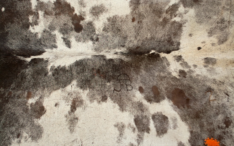 Alfombras de piel 3