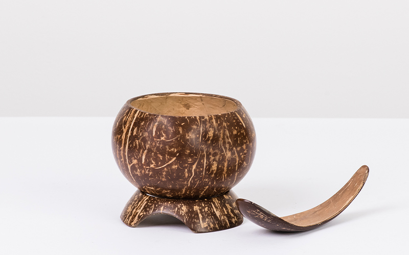 Tazon de coco natural 2